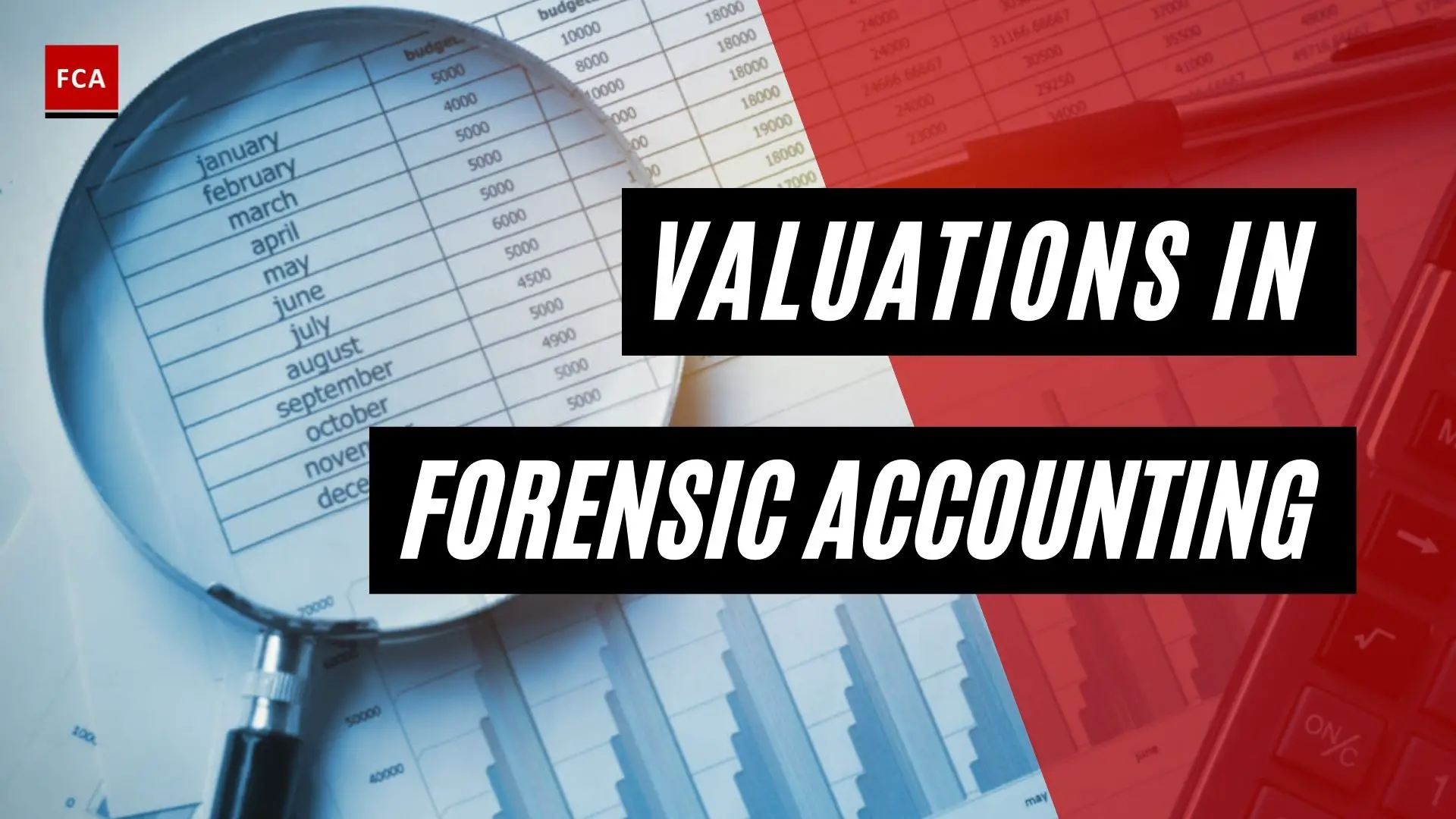 When Forensic Accountant